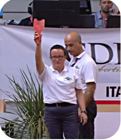 FIB-Referees-243x280